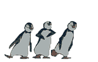 pic for pinguins dance  217x138